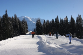  Erste Schritte mit dem nordischen Skifahren 